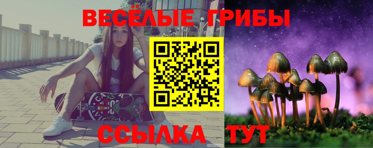 Валуйки  Псилоцибиновые грибы ЛСД  Вход с VPN  Галлюциногенные грибы ЛСД 